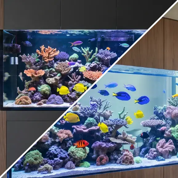 Eine Fotocollage, die zwei farbenfrohe Meerwasseraquarien mit Korallenriff und exotischen Fischen zeigt.