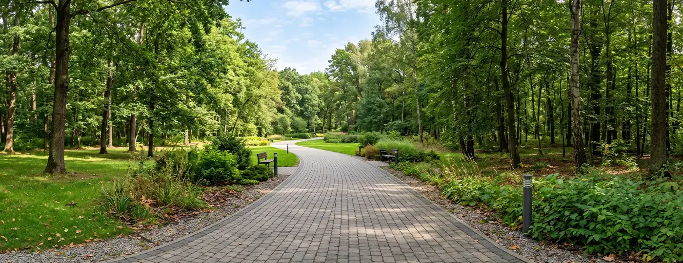 Gepflasterter Weg im Park